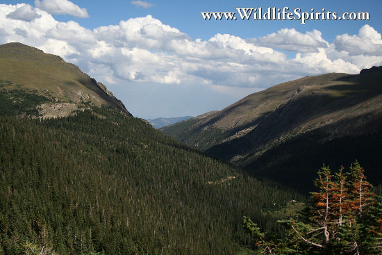 Click Picture to send as an  E-PostCard 65k 550x367